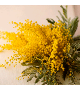 Mimosa Natural flavour